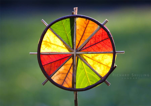 4 Colour Sunwheel by Richard Shilling