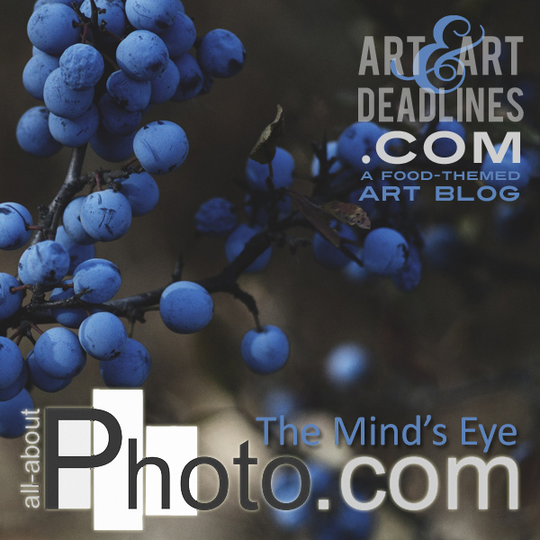Learn more about The Minds Eye exhibit from all-about-photo.com!