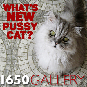 Learn more about the Whats New Pussycat exhibit at the 1650 Gallery!