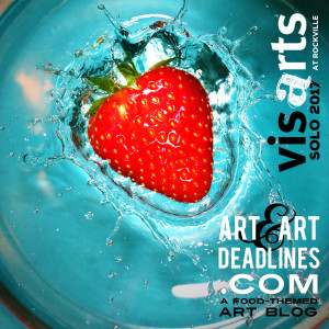 Learn more about the 2017 Solo Exhibition opportunities from VisArts at Rockville!