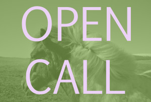 Learn more about Show #31 from Field Projects!