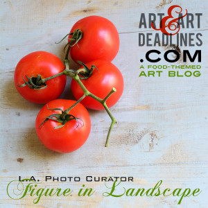 Learn more about the Figure in Landscape exhibit from the L.A. Photo Curator!