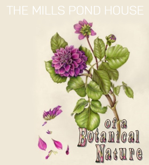 Learn more about the Of a Botanical Nature exhibit from Smithtown Township Arts Council