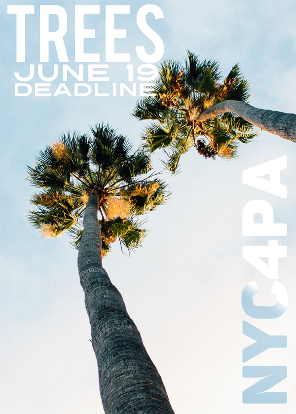 Learn more about the TREES exhibit from NYC4PA - New York Center 4 Photographic Art!