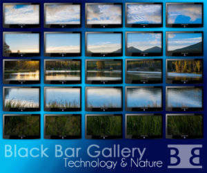 Learn more about the Technolgy & Nature exhibit from the Black Bar Gallery!
