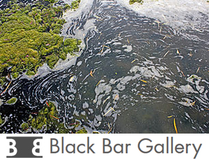 Learn more about the Water Water Everywhere exhibit from the Black Bar Gallery!