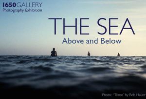 Learn more about The Sea exhibit from 1650 Gallery!