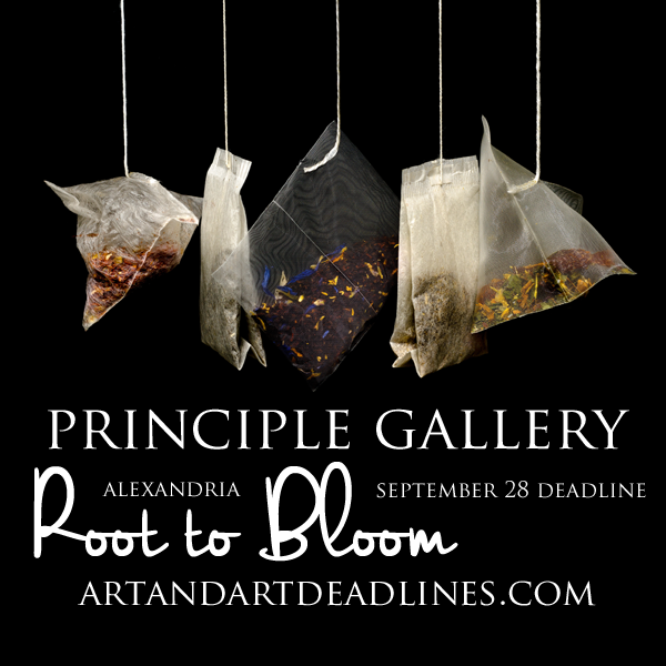 Learn more about the Root to Bloom exhibit at the Principle Gallery!