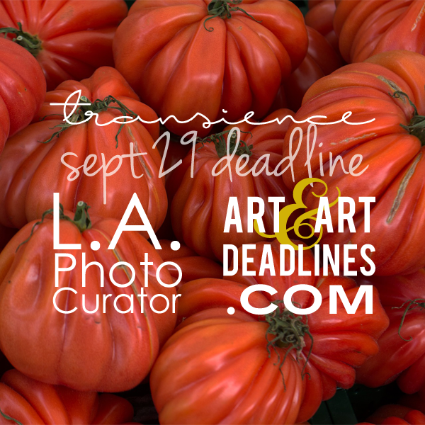 Learn more about the Transience exhibit from L.A. Photo Curator!