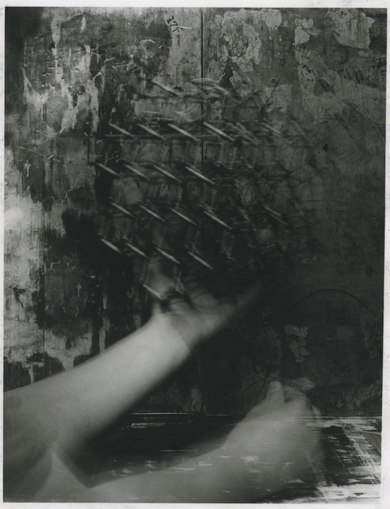 Learn more about the Transience exhibit from L.A. Photo Curator!