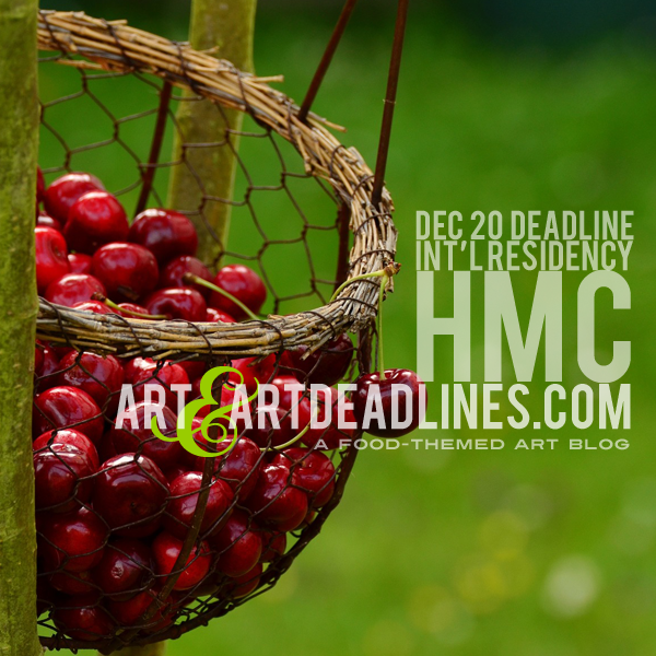 Learn more about the HMC International Residency!