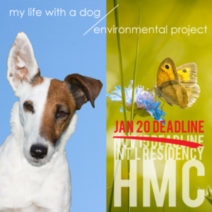 Learn more about the HMC International Residency!