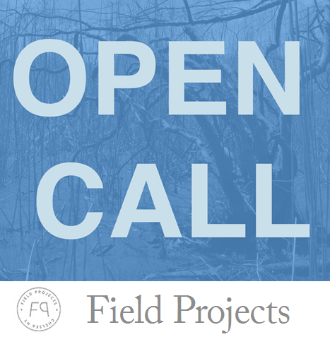Learn more about the Winter 2016 Open Call from Field Projects!