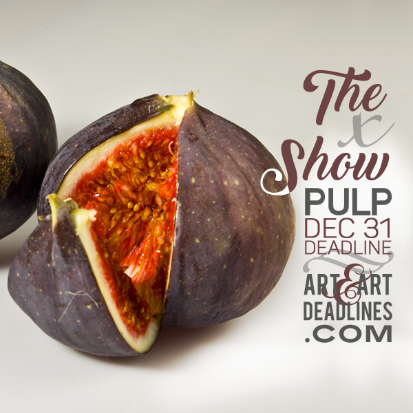 Learn more about The X Show from Pulp Charleston!