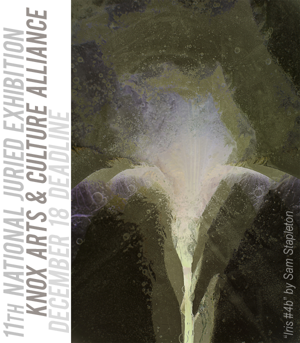 Learn more about the 11th National Juried Exhibition from Knox Arts and Culture Alliance!