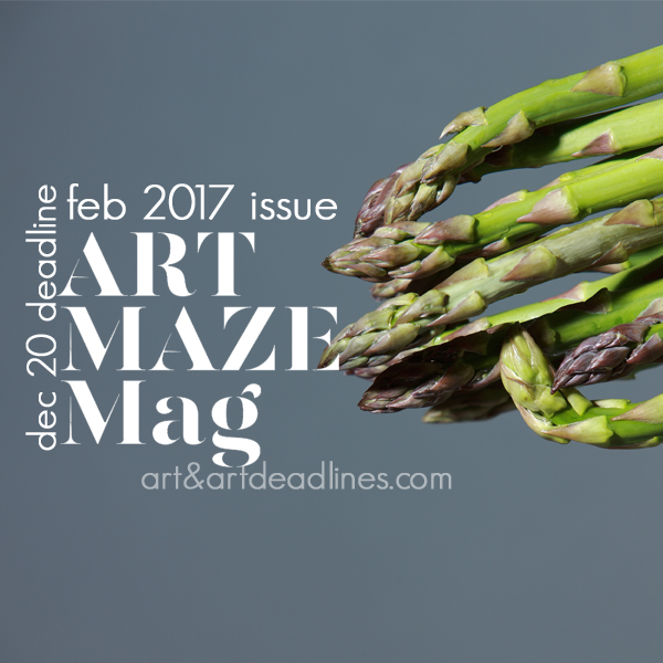 Learn more about the Feb 2017 Issue of ArtMaze Magazine! 