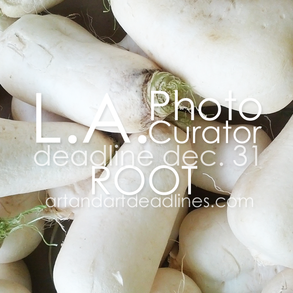 Learn more about the Root Exhibit from LA Photo Curator! 