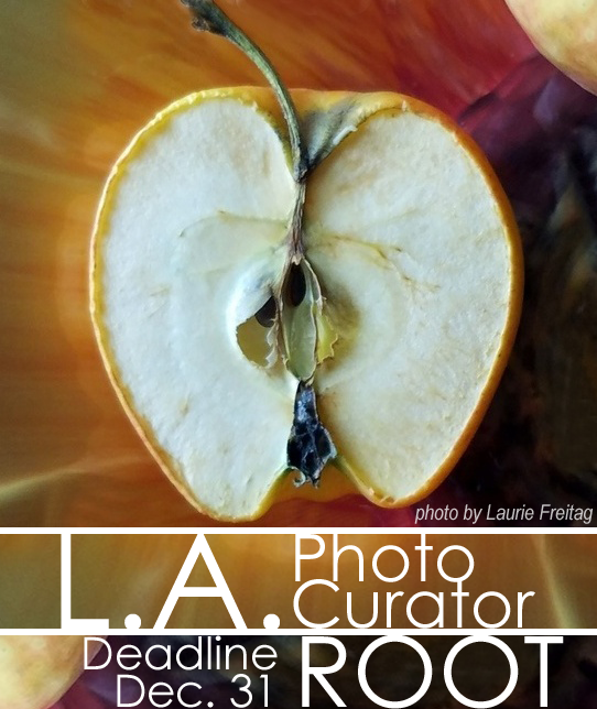 Learn more about the Root Exhibit from LA Photo Curator!