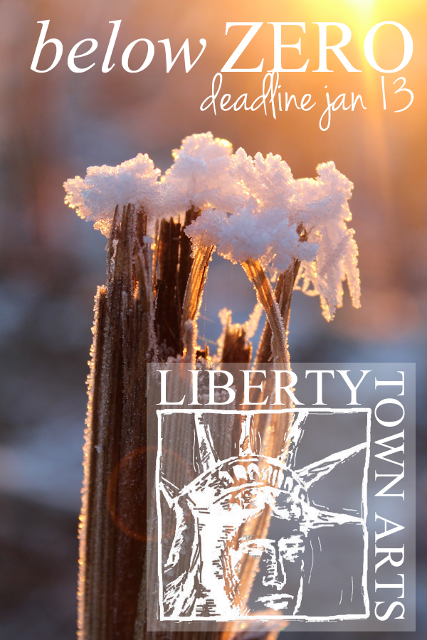 Learn more about the Below Zero exhibit from LibertyTown Arts!