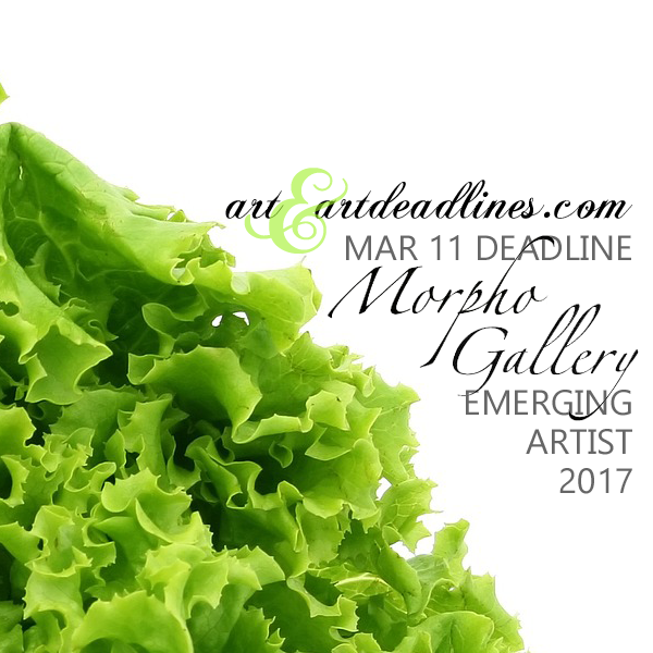 Learn more about the Emerging Artist 2017 exhibit from the Morpho Gallery! 