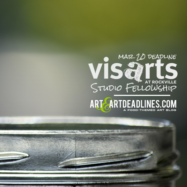 Learn more about the Studio Fellowship from VisArts at Rockville!