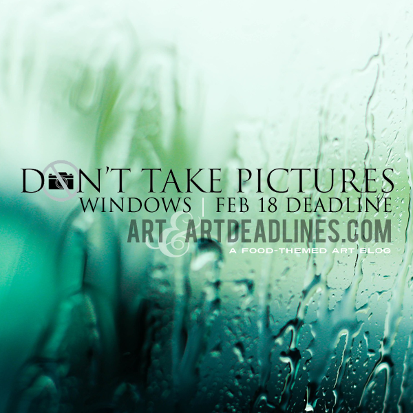 Learn more about the Windows edition of Don't Take Pictures!