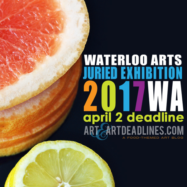 Learn more about the 2017 Juried Exhibit from Waterloo Arts!