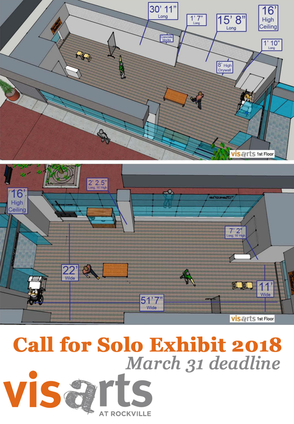 Learn more about the 2018 Solo Exhibit opportunity from VisArts!