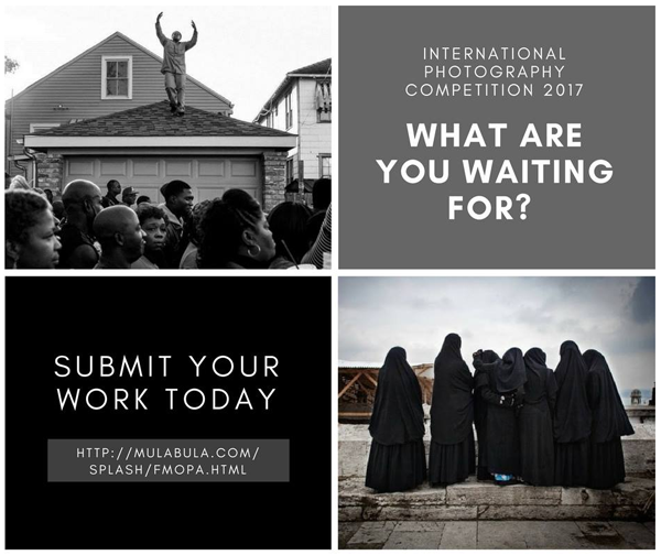 Learn more about the 2017 Int'l Photography Competition from the Florida Museum of Photographic Arts!