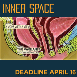Learn more about the A Womb with a View exhibit from Inner Space, A Chamber Gallery in Jersey City, NJ!
