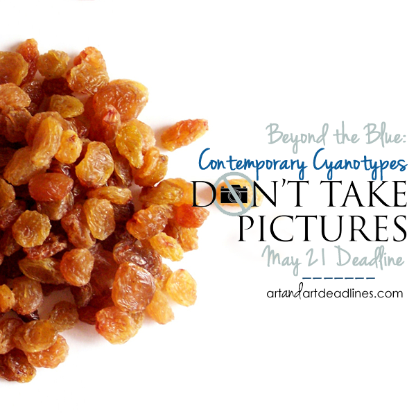 Learn more about the Call for Contemporary Cyanotypes from Don't Take Pictures!