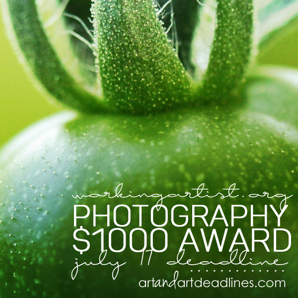 Learn more about the $1000 Photography Award from WorkingArtist.org!