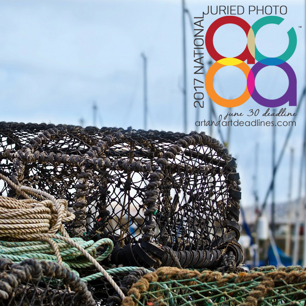 Learn more about the 2017 National Juried Photography Exhibition from The Academy Center of the Arts!