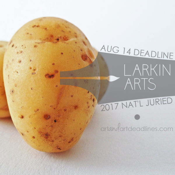 Learn more about the 2017 National Juried Exhibition from Larkin Arts!