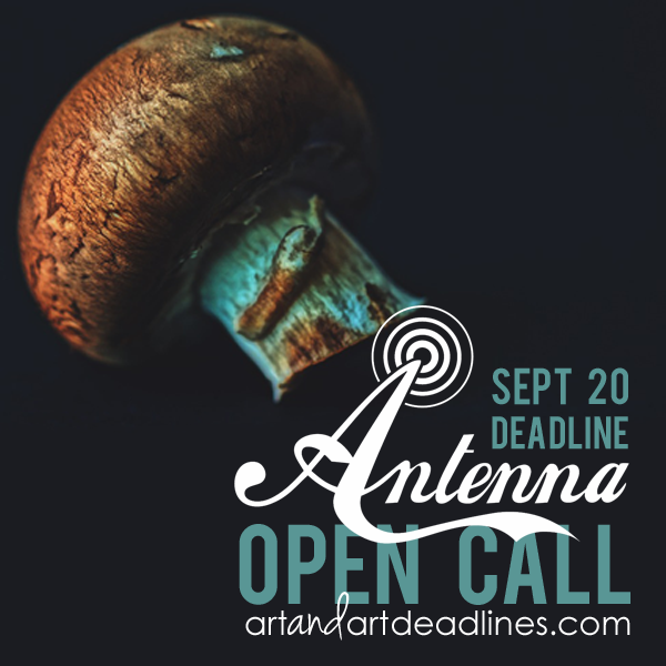 Learn more about the National International Open Call 2018 from Antenna Gallery!