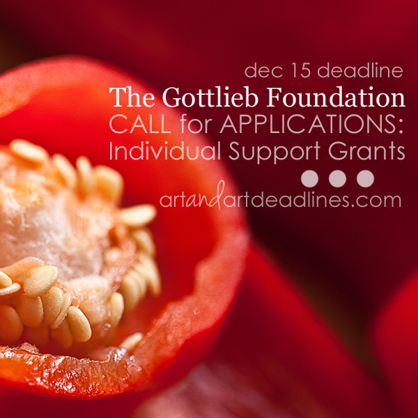 Learn more about Individual Support Grants from The Gottlieb Foundation!