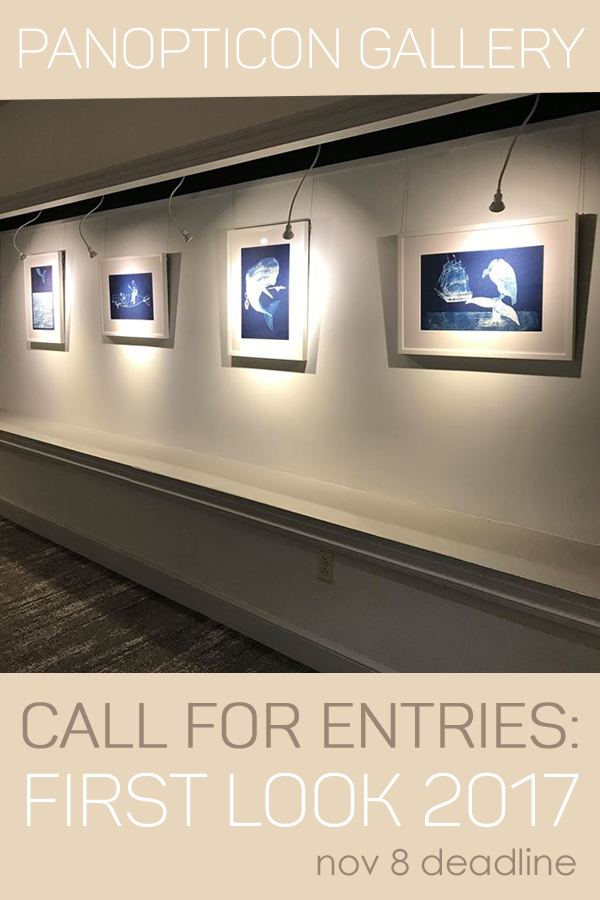 Learn more about the First Look 2017 Call from Panopticon Gallery!