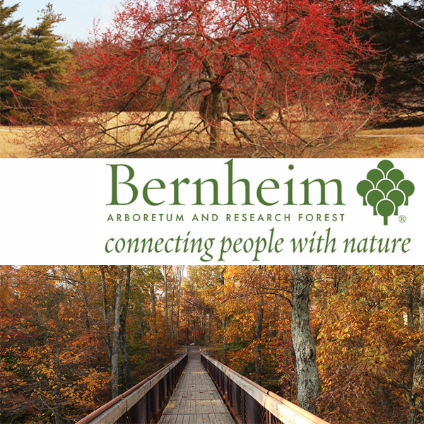 Learn more from the Bernheim Arboretum and Research Forest!