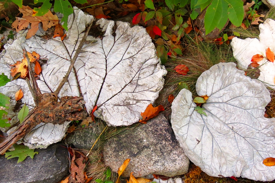 "Migration", a site-specific installation of concrete life-cast leaves, by Elizabeth White