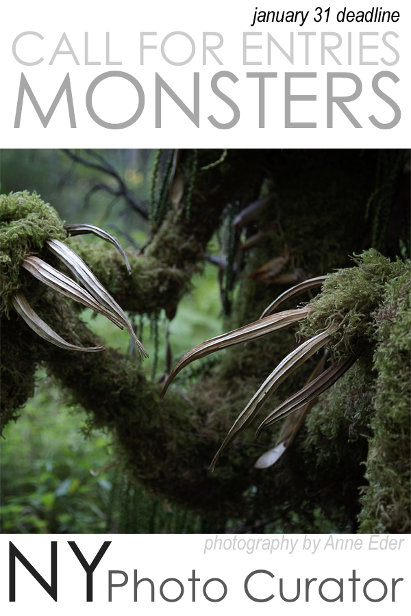 Learn more about the Monsters exhibit from NY Photo Curator!