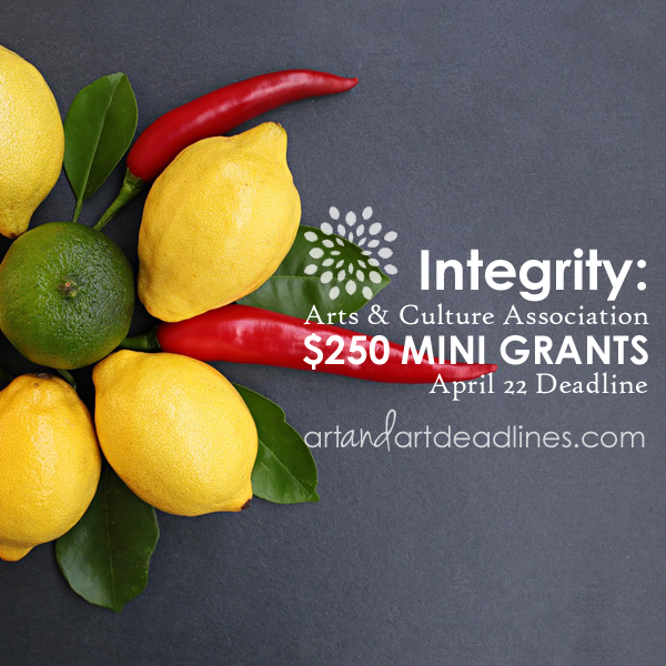 Learn more about the IACA Mini Grant!