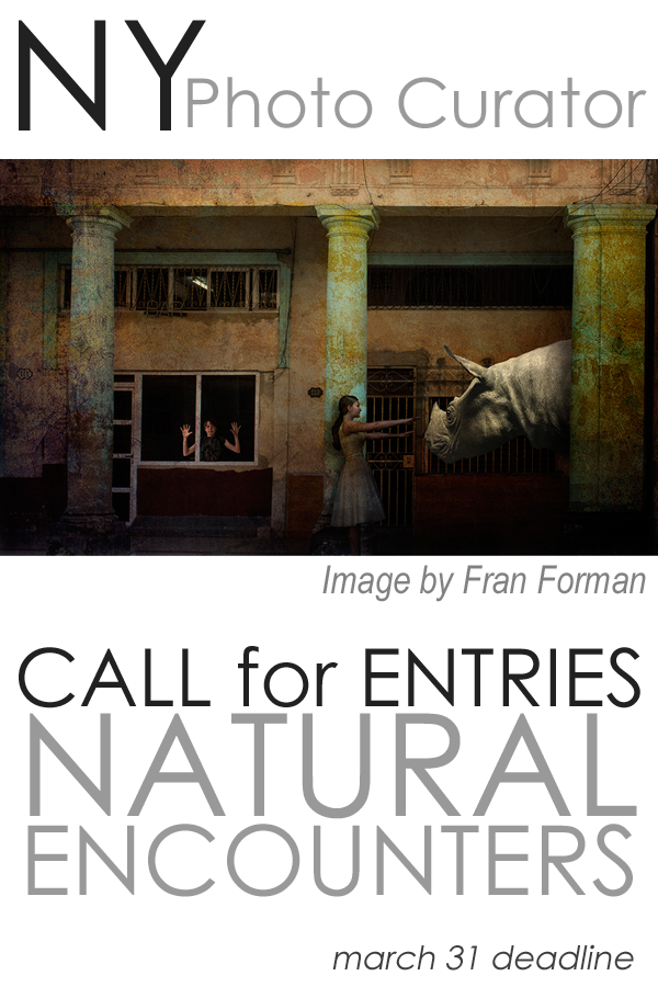 Learn more about the Natural Encounters Exhibit from NY Photo Curator!