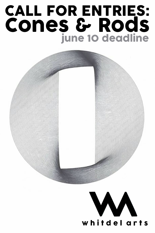 Learn more about the Cones and Rods exhibit from Whitdel Arts!