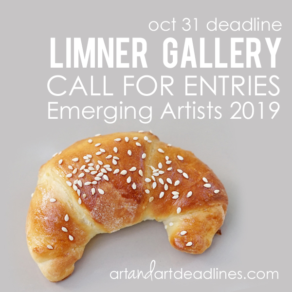 Learn more about the 2019 Emerging Artist show from the Limner Gallery! 