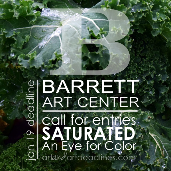 Learn more about the Saturated An Eye for Color exhibit from the Barrett Art Center! 