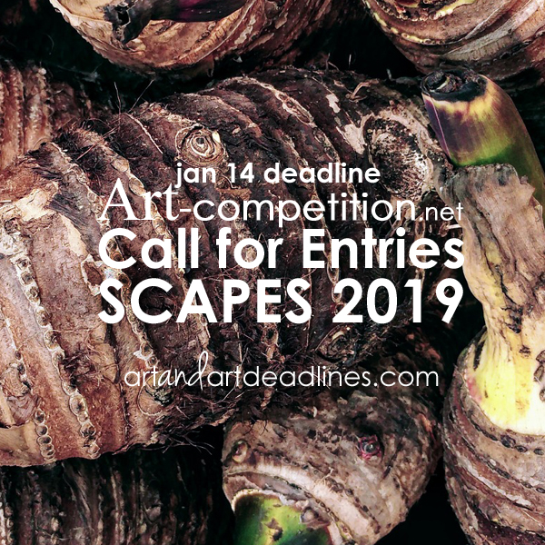 Learn more about the Scapes 2019 exhibit from art-competition.net! 
