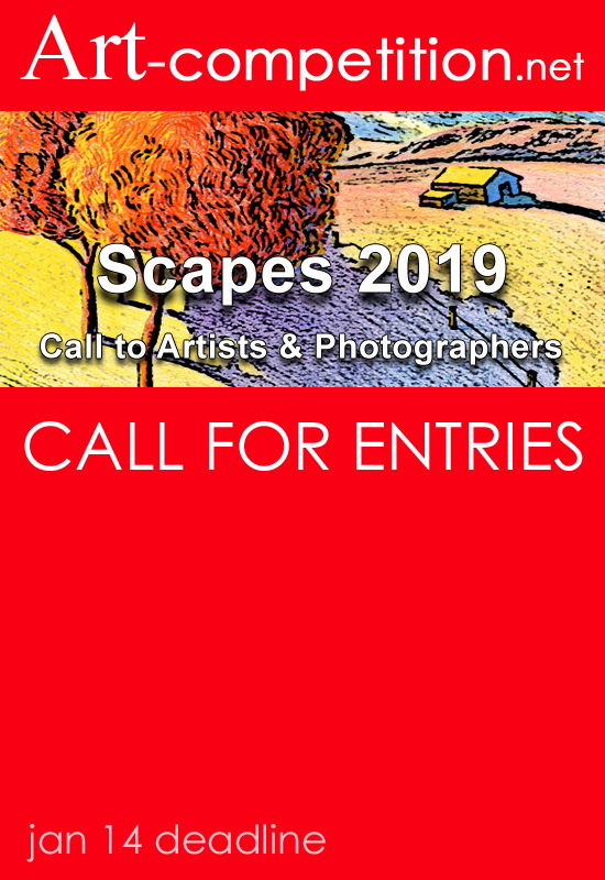 Learn more about the Scapes 2019 exhibit from art-competition.net!