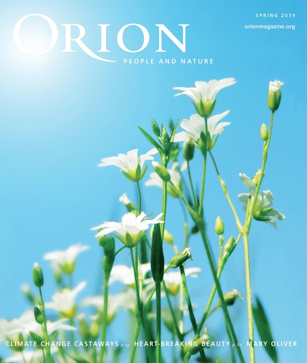 Learn more from Orion, America's Finest Environmental Magazine